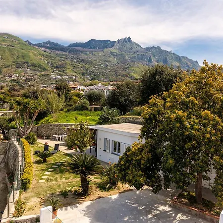 Casa Yucca 度假居 *