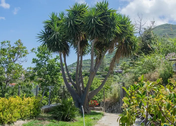 Casa Yucca * Forio di Ischia